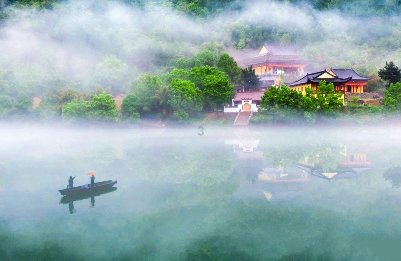 动物帮帮忙保卫家园